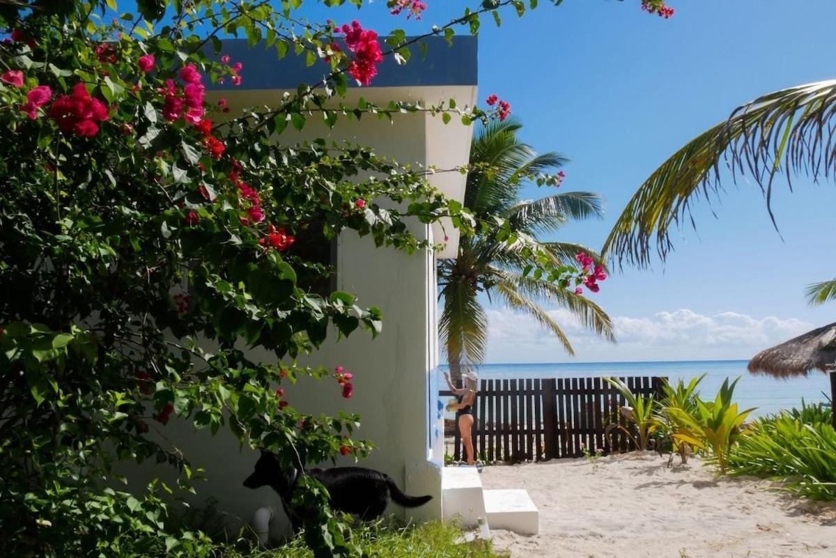 Вілла Pronoia Casa De Playa Маауаль Екстер'єр фото